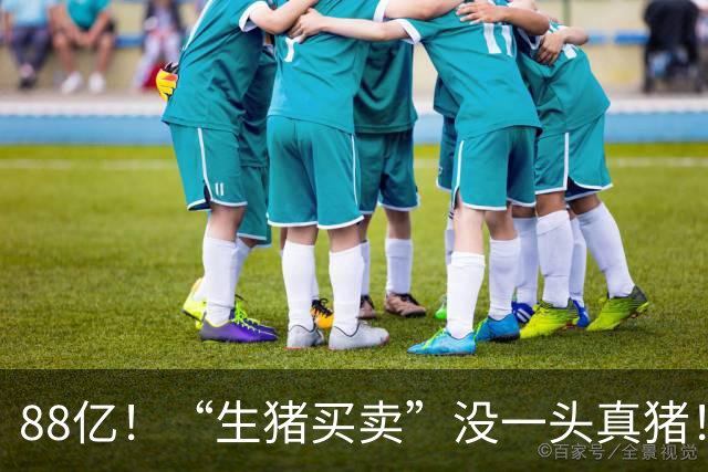 88亿！“生猪买卖”没一头真猪！空手套白狼，国企巨款全被挪走？